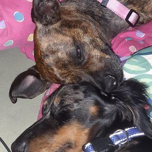 Meet your Posher, Christina